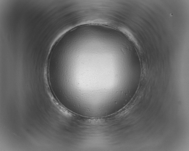 X0000073990952200609060954