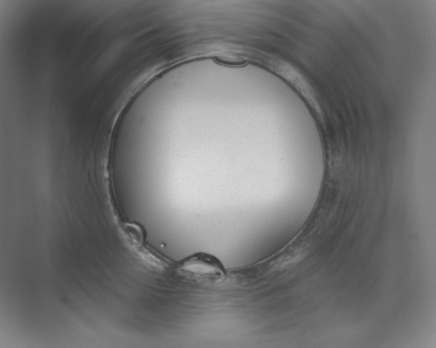 X0000073990954200609060954