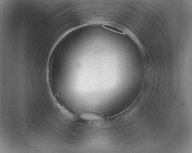 X0000073990955200609060954