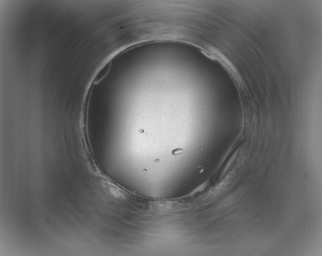 X0000073990956200609060954