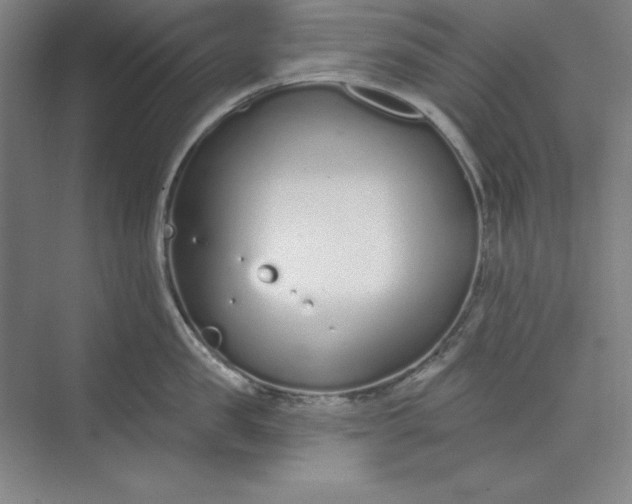 X0000073990957200609060954