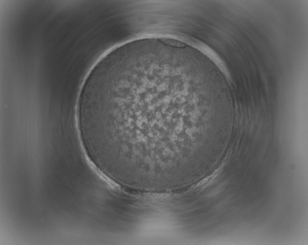 X0000073990958200609060954