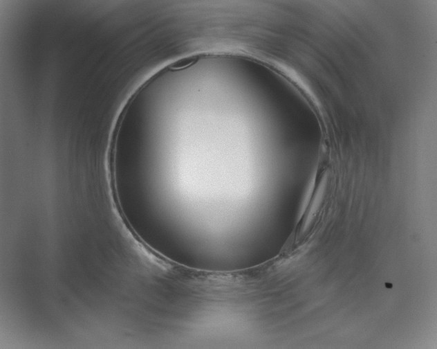 X0000073990959200609060954