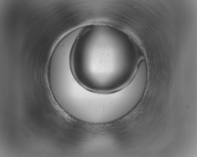 X0000073990960200609060954