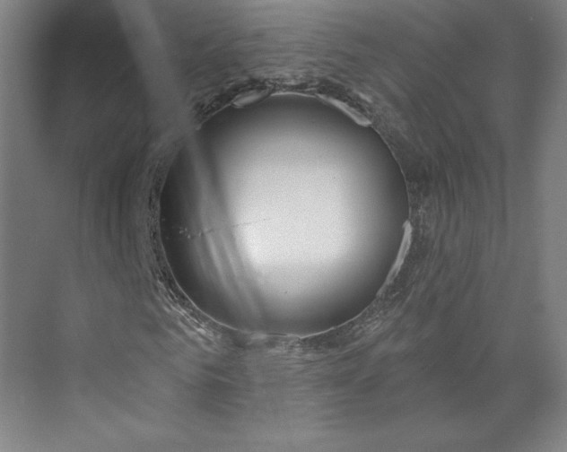 X0000073990961200609060953