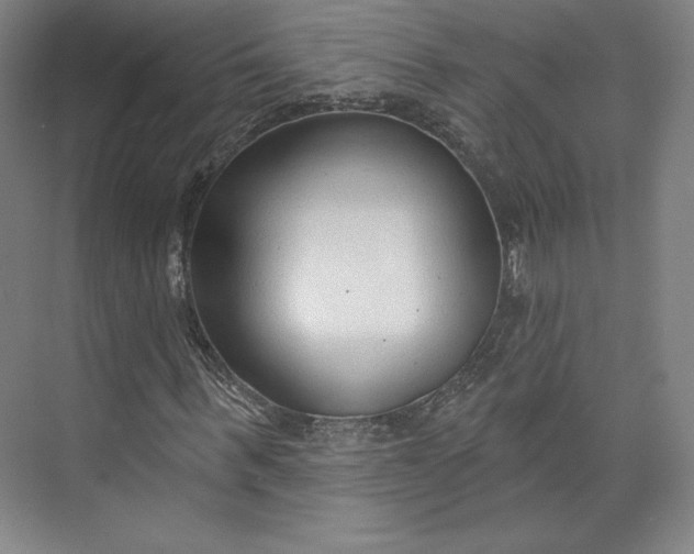 X0000073990963200609060953