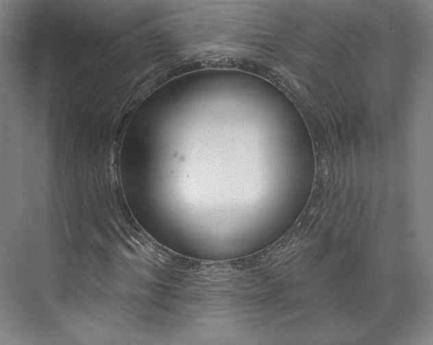 X0000073990964200609060953