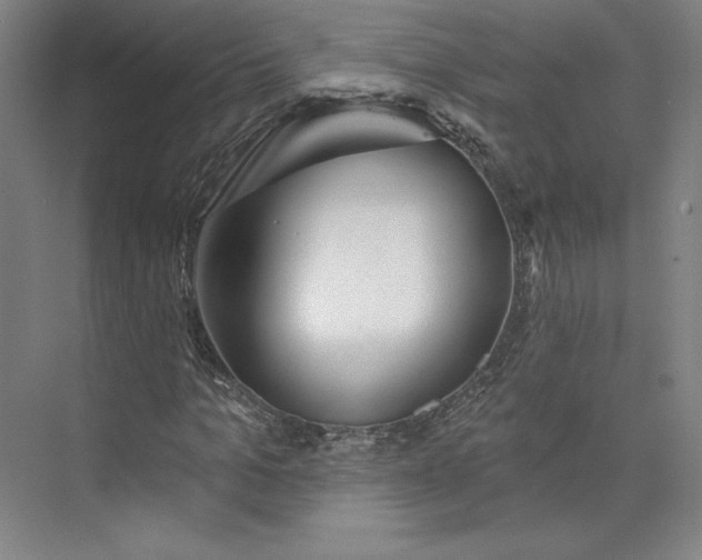 X0000073990965200609060953