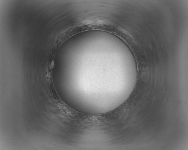 X0000073990966200609060953