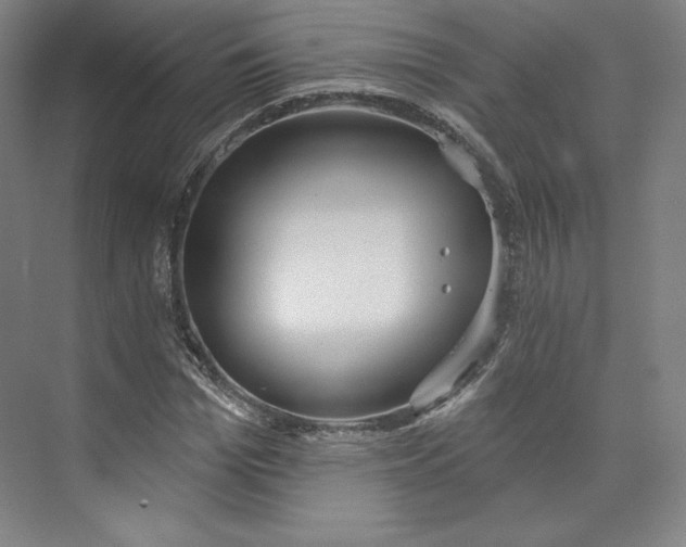 X0000073990969200609060953