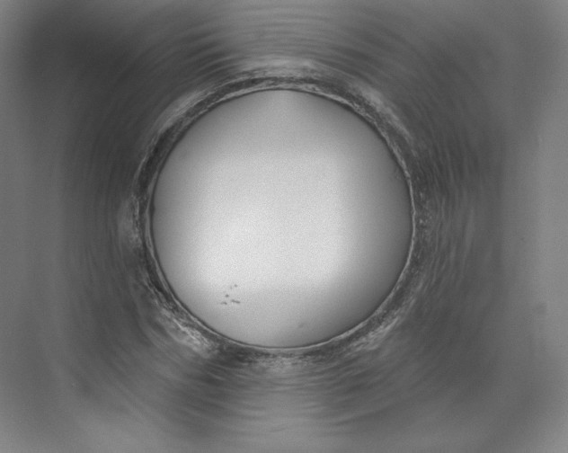 X0000073990970200609060953