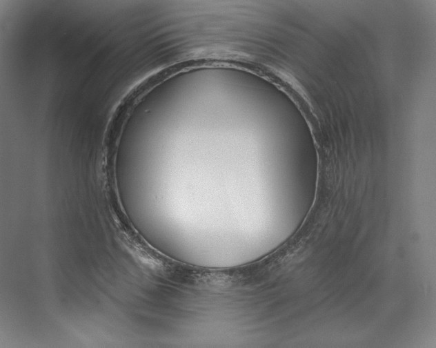 X0000073990971200609060953