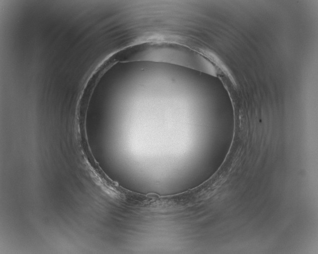 X0000073990972200609060953