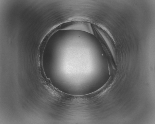 X0000073990973200609060953