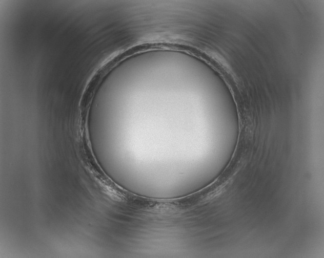 X0000073990974200609060953