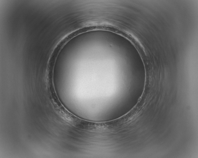 X0000073990975200609060953