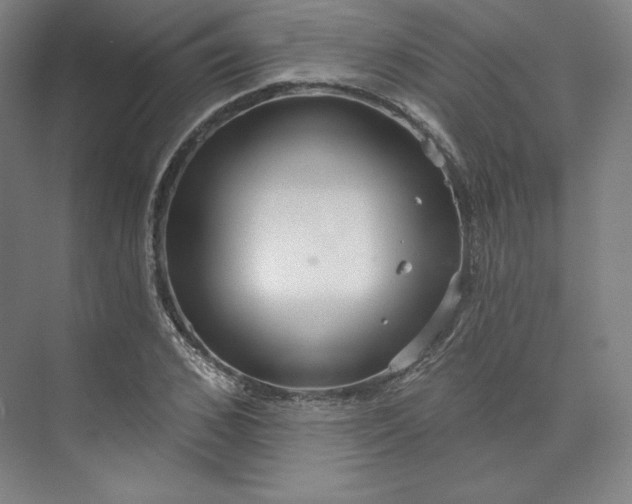 X0000073990976200609060953