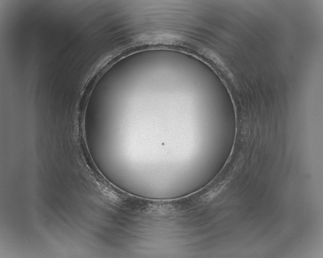 X0000073990978200609060953