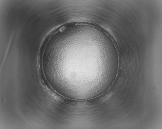 X0000073990979200609060953