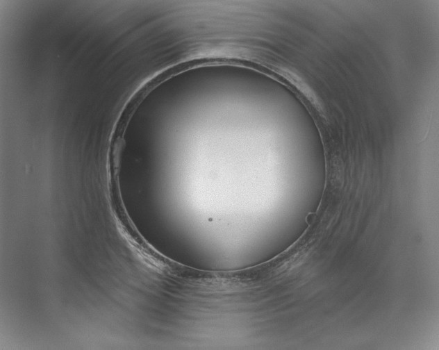 X0000073990980200609060953