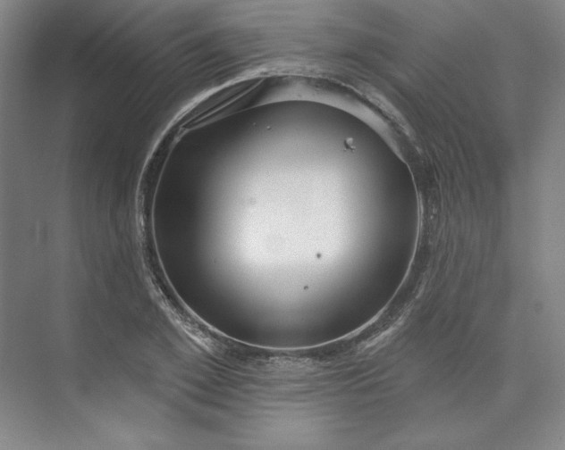 X0000073990981200609060953