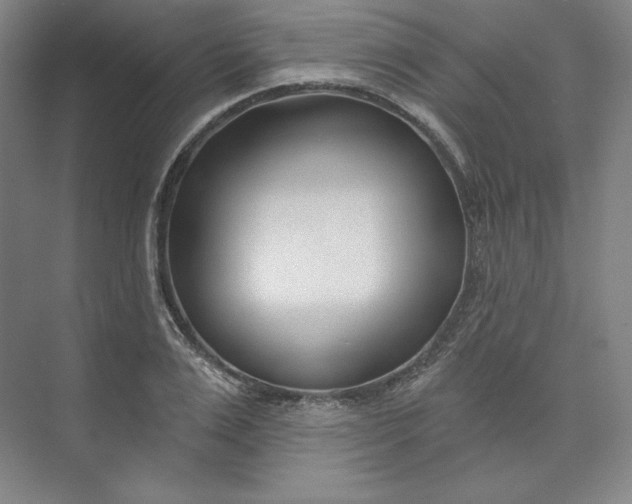 X0000073990983200609060953