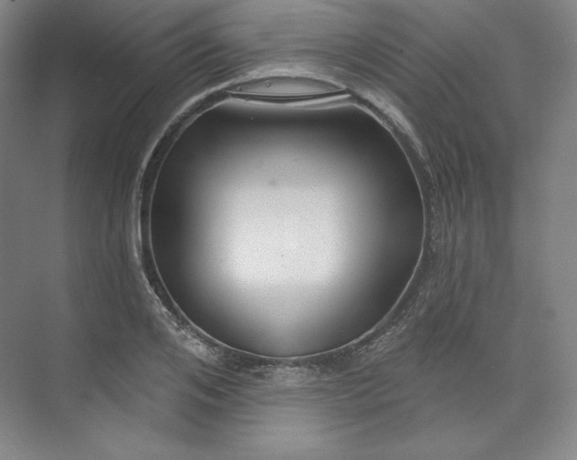 X0000073990984200609060953