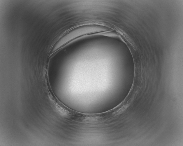 X0000073990985200609060953