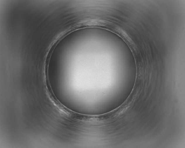 X0000073990986200609060953