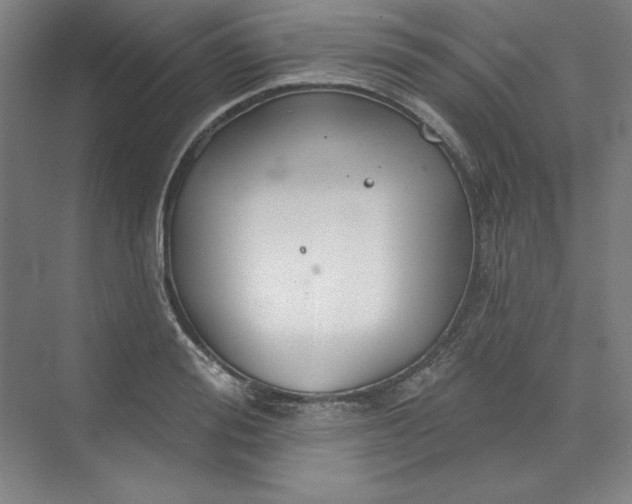 X0000073990988200609060953