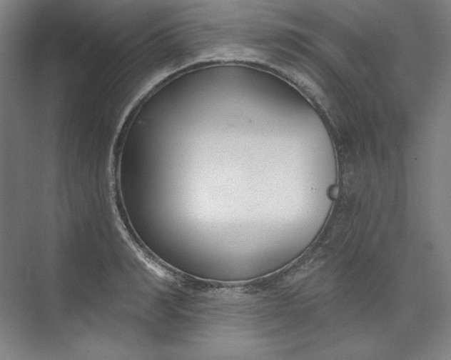 X0000073990990200609060953