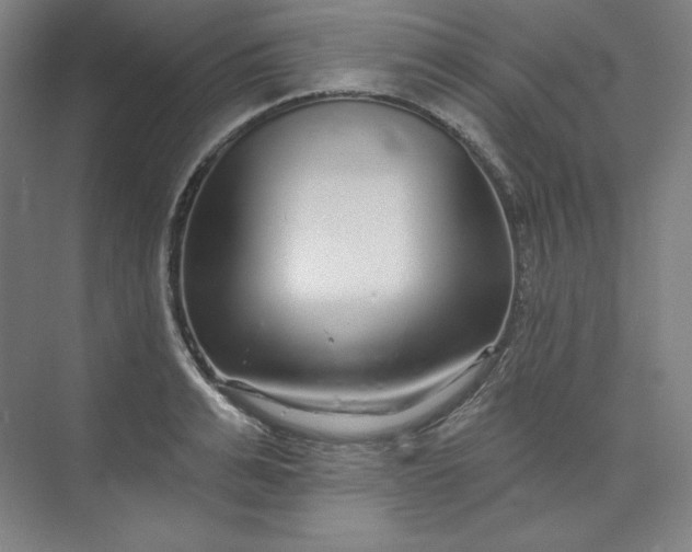 X0000073990991200609060953