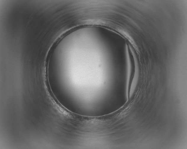 X0000073990992200609060953