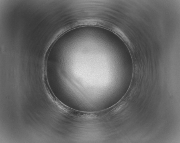 X0000073990994200609060953