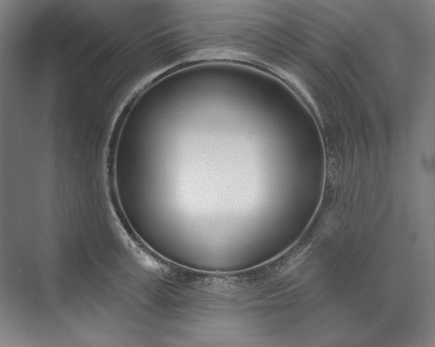 X0000073990995200609060953