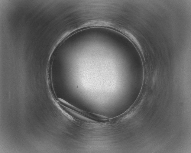 X0000073990997200609060953