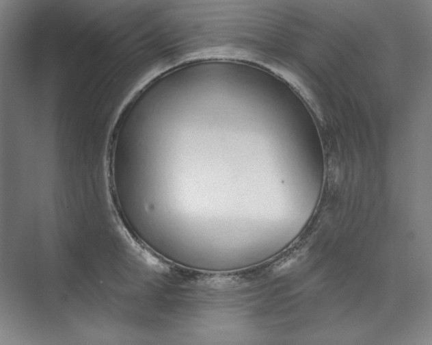 X0000073990998200609060953