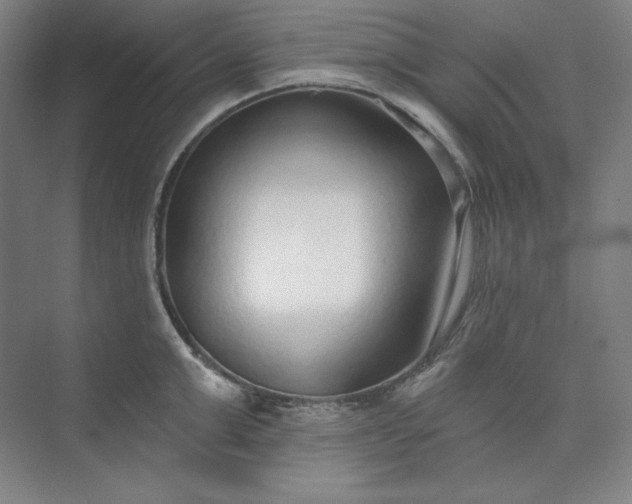 X0000073990999200609060953