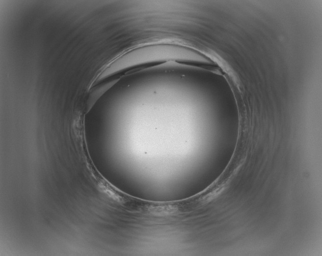 X0000073991001200609060953