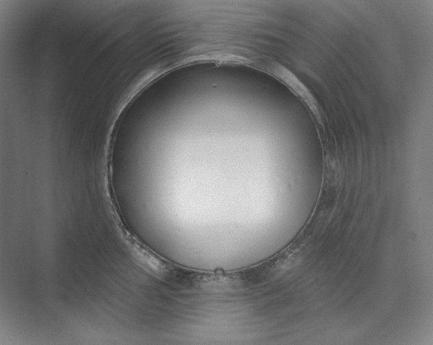 X0000073991002200609060953