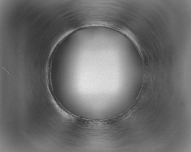 X0000073991003200609060953