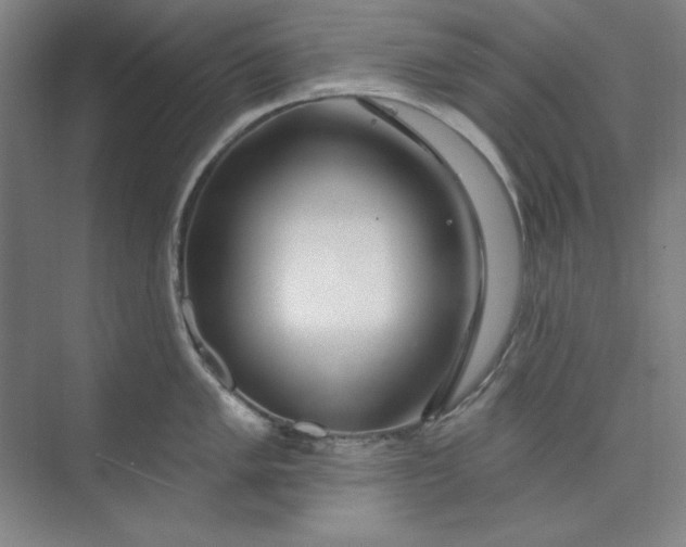 X0000073991005200609060953