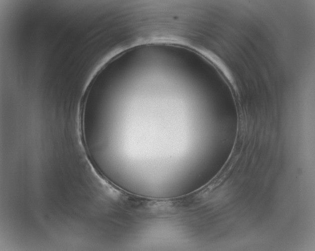 X0000073991006200609060953