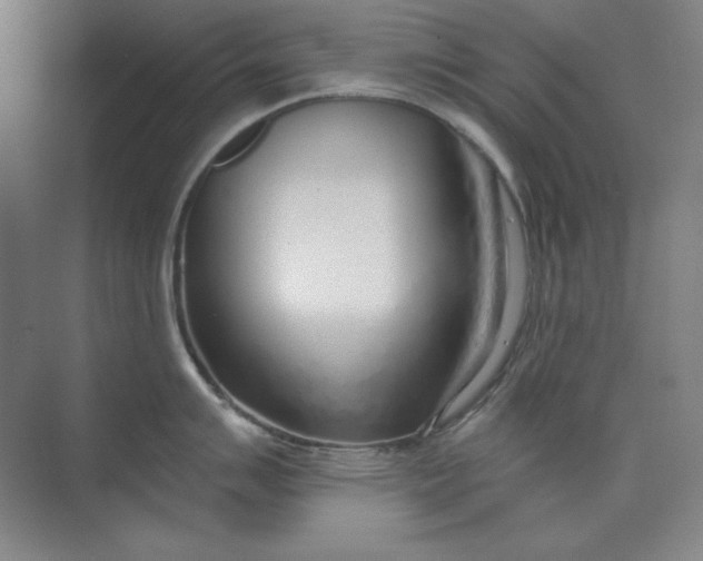 X0000073991007200609060953