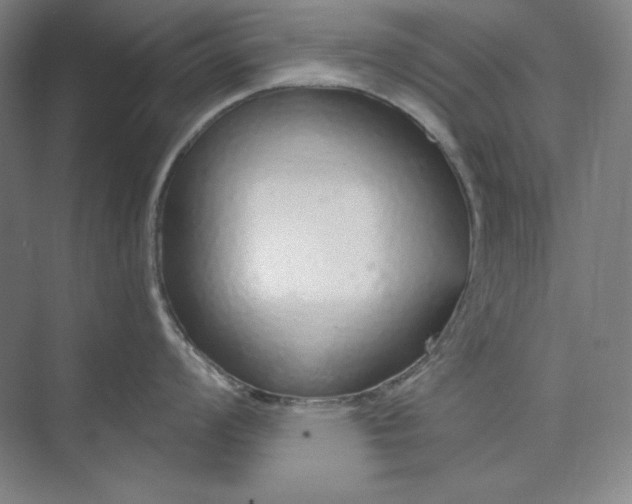 X0000073991008200609060953