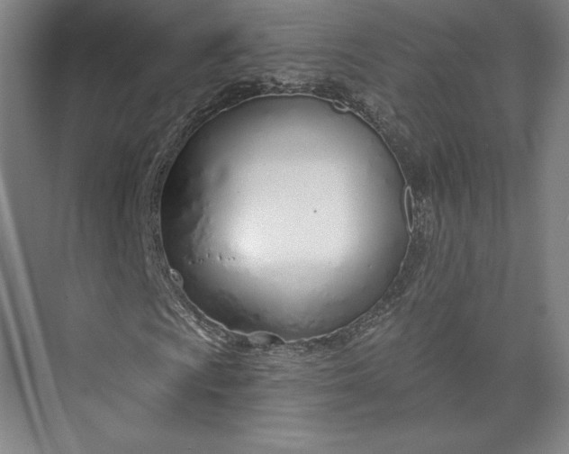 X0000073991009200609060952