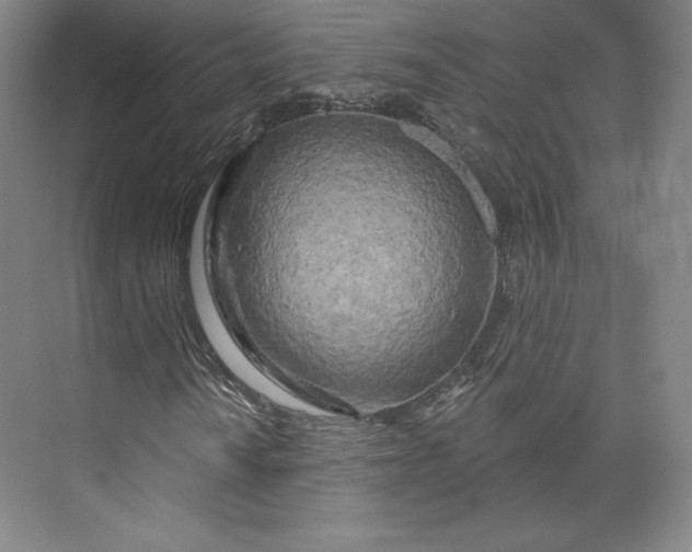 X0000073991010200609060952