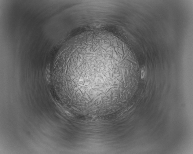 X0000073991011200609060952