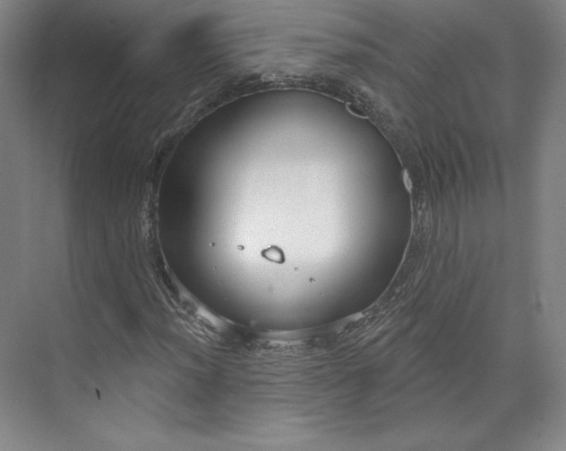 X0000073991012200609060952