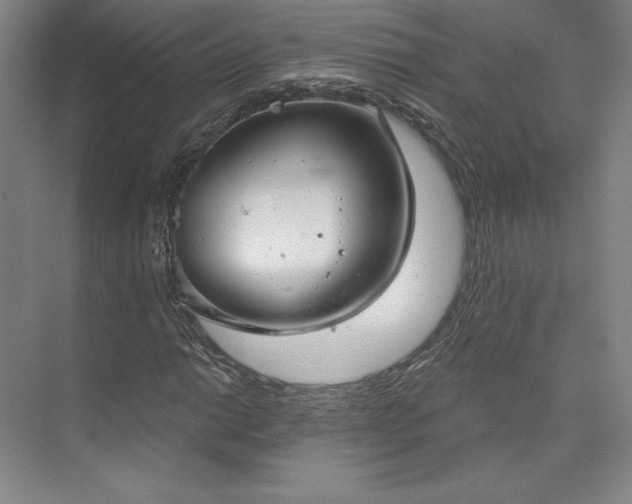 X0000073991014200609060952